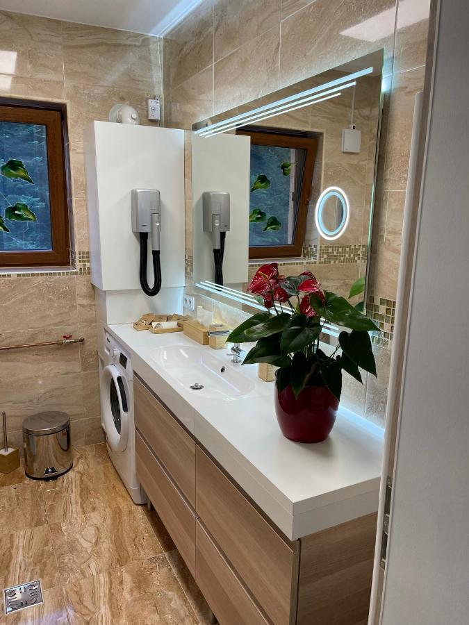 Hrodberht Ski Apartment Buşteni Екстериор снимка