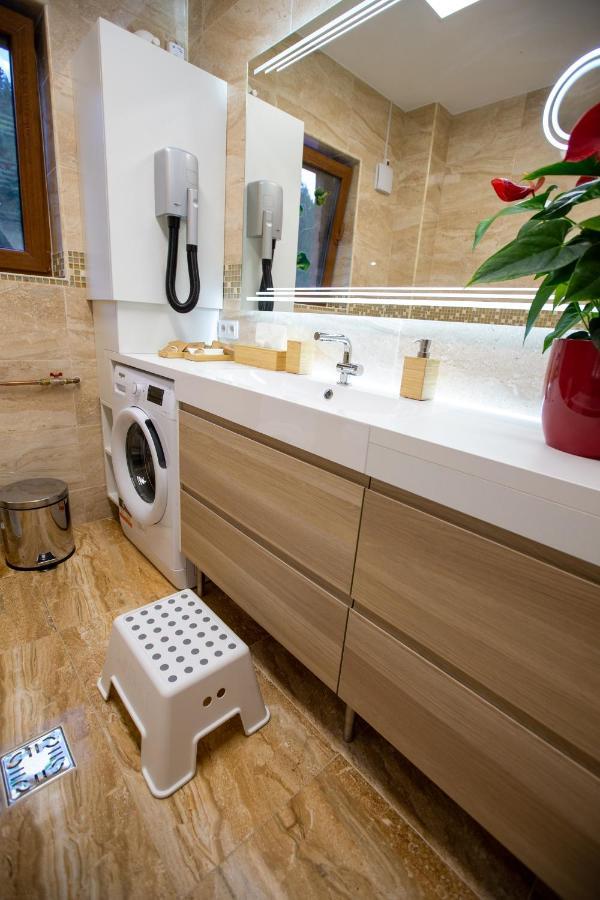 Hrodberht Ski Apartment Buşteni Екстериор снимка