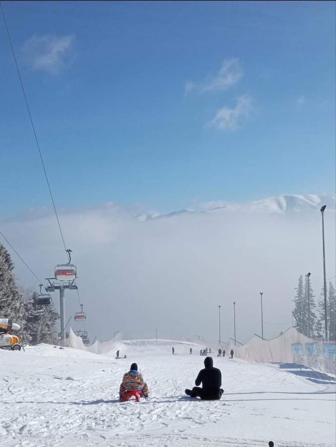 Hrodberht Ski Apartment Buşteni Екстериор снимка